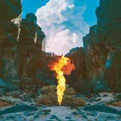 Migration — Bonobo